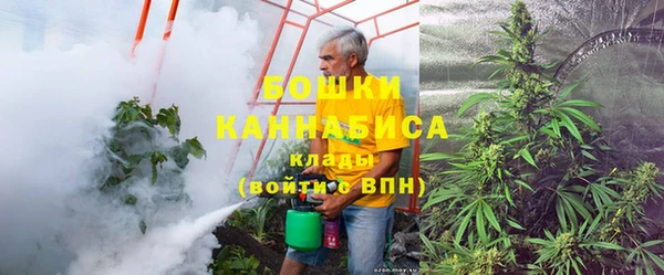 сатива Баксан