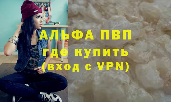 сатива Баксан