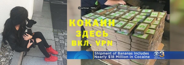сатива Баксан