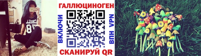 где продают наркотики  МЕГА вход  Псилоцибиновые грибы мухоморы  Михайловск 