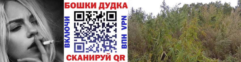 Канабис марихуана  Михайловск 