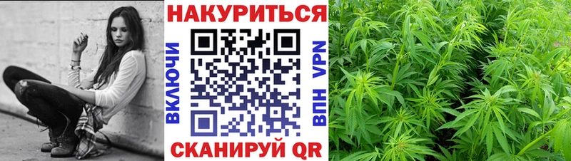 Марихуана план Михайловск